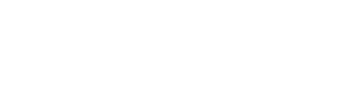 Arctic Investment Group